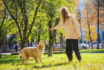 The owner plays the golden retriever dog in the park.