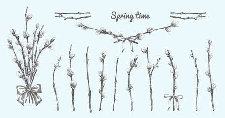 Pussy Willow branches set. Spring bouquet with ribbon bow. Hand-drawn sketch black and white design isolated on blue background. Outline Sunday Easter symbol collection. Vector. - obrazy, fototapety, plakaty