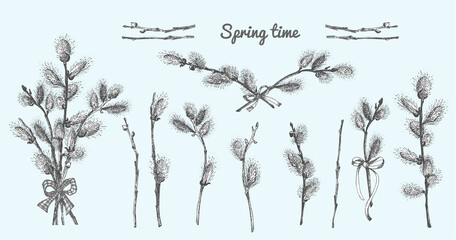 Pussy Willow branches set. Spring bouquet with ribbon bow. Hand-drawn sketch black and white design isolated on blue background. Outline Sunday Easter symbol collection. Vector.