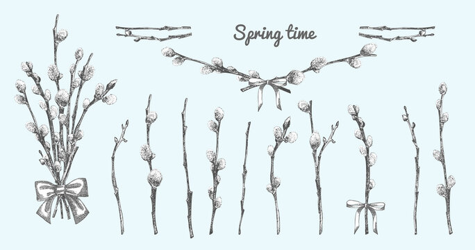 Pussy Willow branches set. Spring bouquet with ribbon bow. Hand-drawn sketch black and white design isolated on blue background. Outline Sunday Easter symbol collection. Vector.