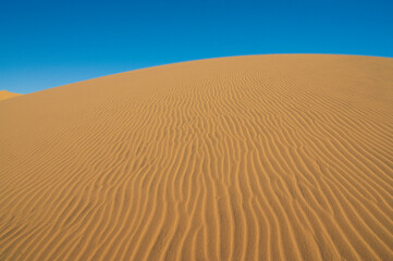 Texture on a windswept dune