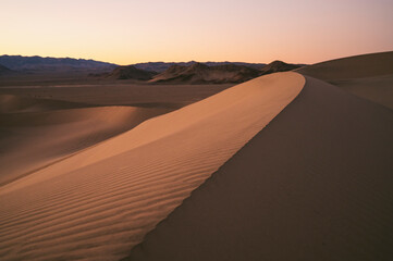 Fototapeta na wymiar Light and texture on a sand dune at sunset