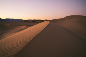 Fototapeta na wymiar Light and texture on a sand dune at sunset