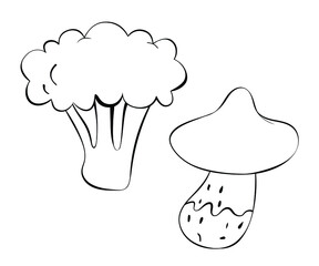 illustration of sketches of vegetables on a white background