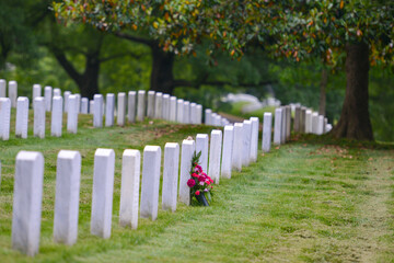 Headstones and flowers in Arlington National Cemetery - Circa Washington D.C. United States of America	