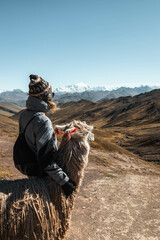 Tourist with alpaca at the colourful Rainbow Mountains in Palccoyo (alternative to Vinicunca) with view of snow-covered Andes (Peru, South America)
