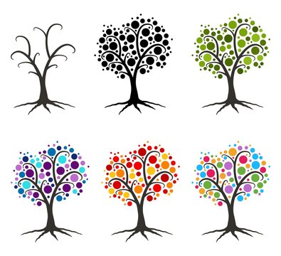 vector set of four seasons of a tree. Colorful trees.