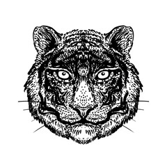 Patterned ornate tiger head. African, Indian, totem, tattoo, sticker design. Design of t-shirt, bag, postcard and posters. Vector isolated illustration in black and white. Coloring book.