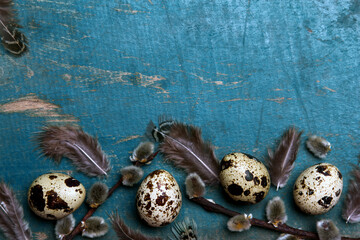 Easter background with quail eggs, feathers and catkins on blue rustic  wooden background with copy space for your tekst. Easter card.