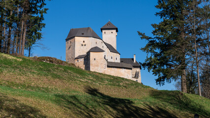 Fototapeta na wymiar Burg Rapottenstein