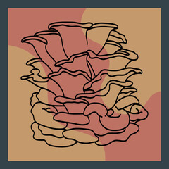 Pink Oyster Drawing Mushroom Vector Design