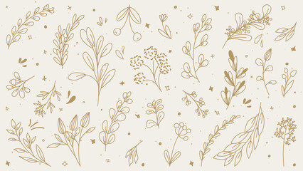 Vector set of hand drawn minimalist botanical elements, natural logotype for spa and beauty salon, boutique. Elegant plant, organic label minimal style, rustic wedding card.