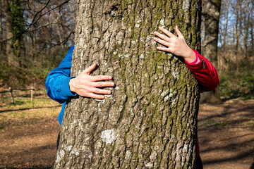 Young couple is hugging a large oak tree. The couple is hiding behind the tree and kissing. Concept of well-being and love for nature. - 488407628