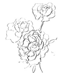 hand drawn flowers