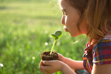 Young green sprout in the hands of a child in the light of the sun on a background of green grass....
