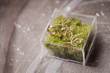 gold wedding rings on the wedding day for the newlyweds. Jewelry from expensive metal