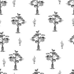 Seamless pattern vintage hand drawn vector illustration with palm tree.Sketch of a tree isolated on white background.