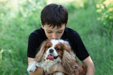 Little boy kissing friend dog Cavalier King Charles spaniel together in field meadow trees, greenery, street. Close up