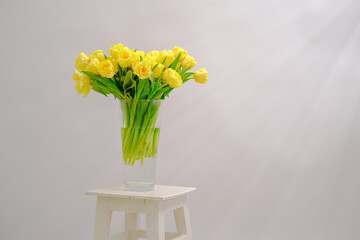 still life yellow tulips in glass vase on white chair with sunlight