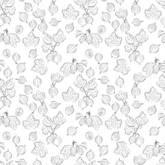 Fototapeta premium Gooseberry seamless pattern on white background. Vector illustration of black and white berries. Vector outline and silhouette contour image, 1000x1000