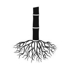 Vector design of root and sugar sign. Web element of root and cane stock vector illustration.