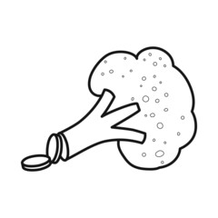 Isolated object of broccoli and product symbol. Collection of broccoli and crop vector icon for stock.