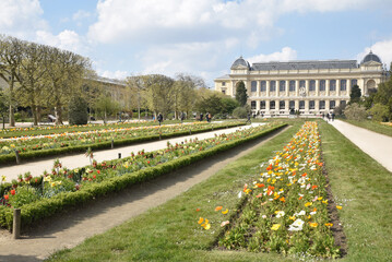Fototapeta na wymiar Massifs fleuris au jardin des plantes à Paris. France