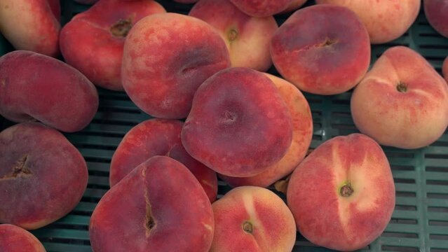 ripe saturn peaches on the market. harvest flat  nectarines in a box.