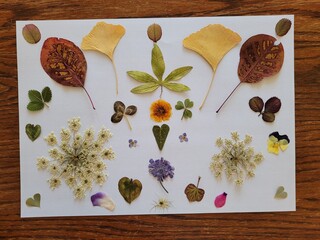 autumn still life