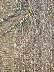 Snow ice texture. Thawed frost on a wooden board. wooden planks cowered with melting snow. Winter...