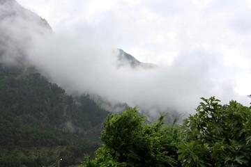 misty mountain landscape