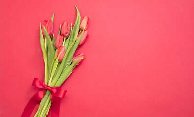 Tulip flower bunch on red color background. Valentine day celebration gift