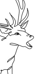 drawing line, a young deer was walking looking for something