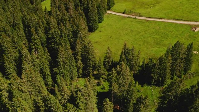 Alpe di Siusi, Sassolungo, Sassopiatto, Alto-Adige