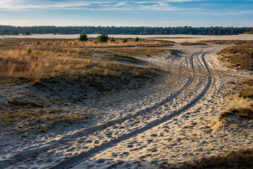Vast landscape of dutch national park Loonse en Drunense duinen with car tire tracks in the sand
