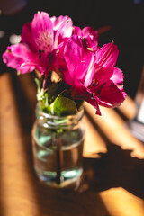 Beautiful pink flowers arrangement in a glass vase with sunlight rays 