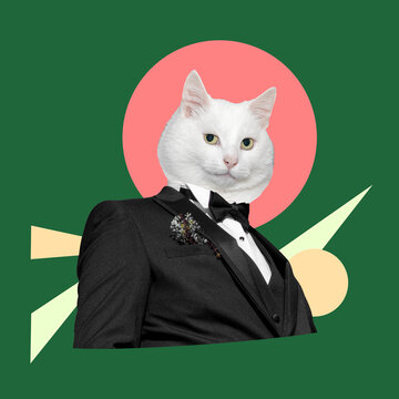 Costume and a black tie with a white cat head. Digital collage modern art.