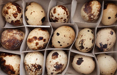quail eggs arranged in paper container