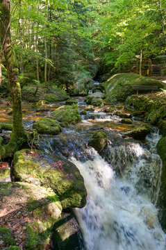 Wonderful calm and relaxing scenery: Beautiful Waterfall cascades in Ysperklamm in Lower Austria. Waldviertel. Nature and Holiday concept.