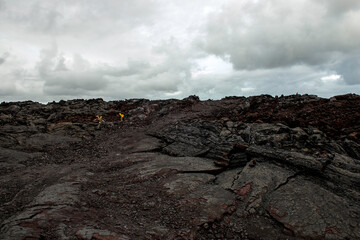 Volcanic Lava field, Big Island Hawaii