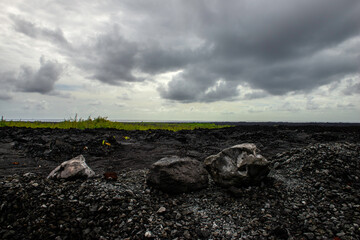Lava field, Big Island Hawaii