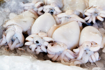 Fresh squids in the market