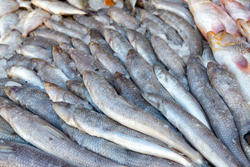 Fish market background