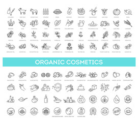 Vector set of natural ingredients and oils for cosmetics in linear style