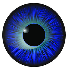 Blue Realistic Eyeball, Iris, Pupil, Lens, Retina