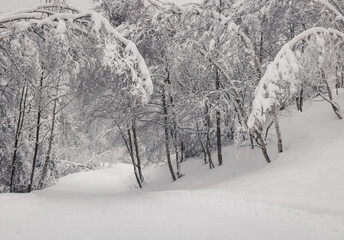 paysage enneigé en hiver après une forte tempête de neige