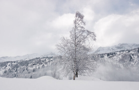 paysage enneigé en hiver après une forte tempête de neige