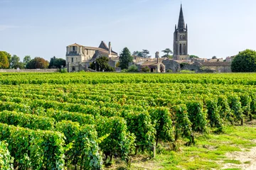 Zelfklevend Fotobehang Vineyards of Saint Emilion village © laraslk