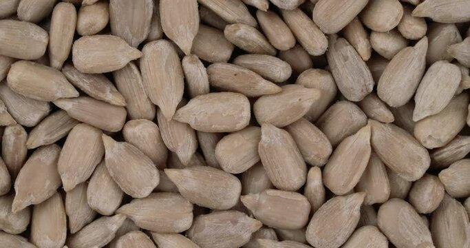 Top view of dehulled sunflower seed kernels rotating. Closeup. Macro.