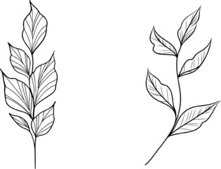 set of leaves elements can be used for tattoo, to create a logo, wedding invitations